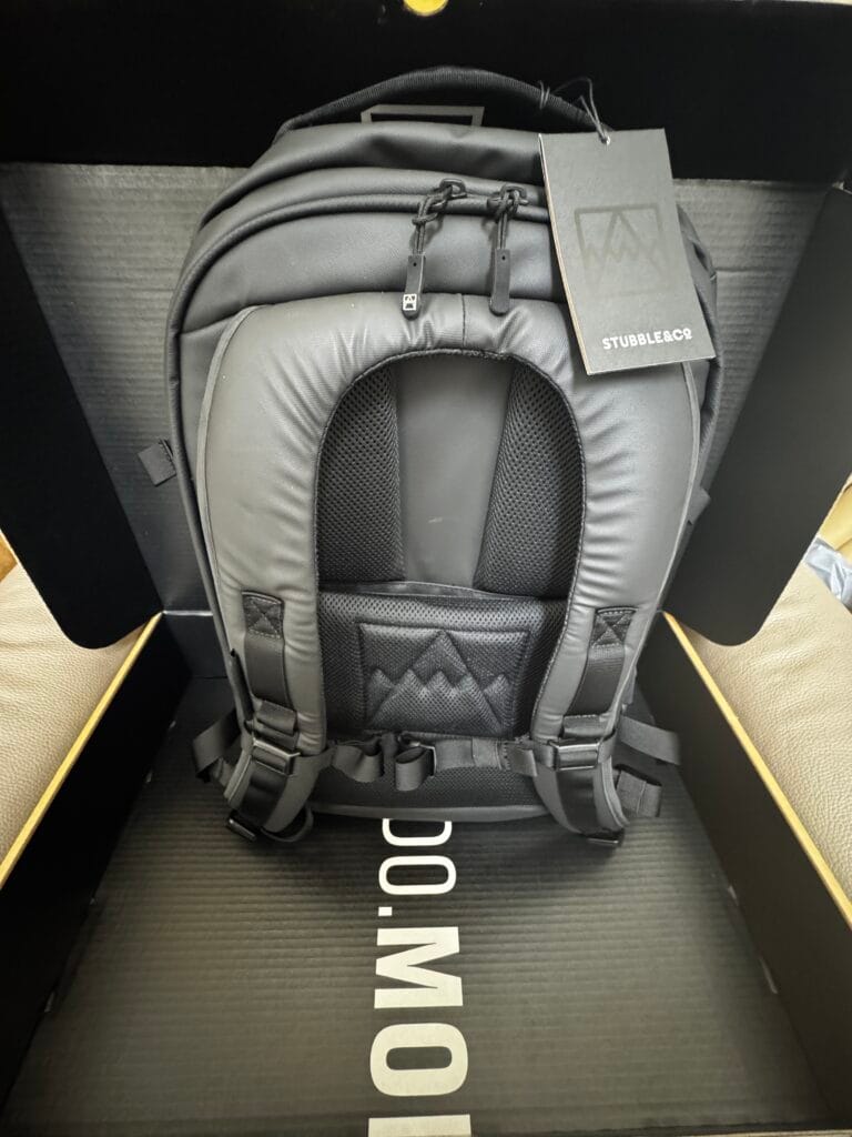 Rear view of 30L backpack showing padded back panel and adjustable shoulder straps