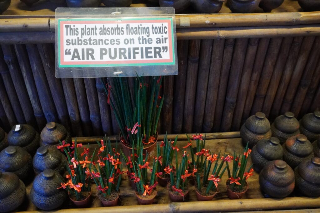 Sign explaining air purifier plant at Hidden Garden with potted plants for sale
