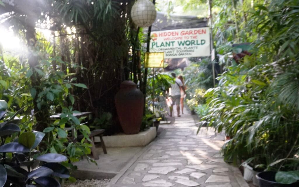 Walkway through plants at Hidden Garden Vigan plant world area