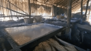 Salt making process inside a hut in Pasuquin and Burgos, Ilocos Norte using rice husks and coconut husks to evaporate seawater