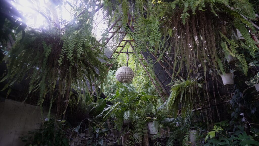 Indoor tropical garden space with dense hanging ferns, wooden beams, and a suspended lantern under a glass roof